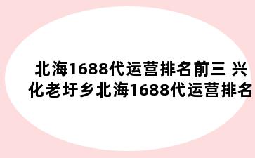 北海1688代运营排名前三 兴化老圩乡北海1688代运营排名前三